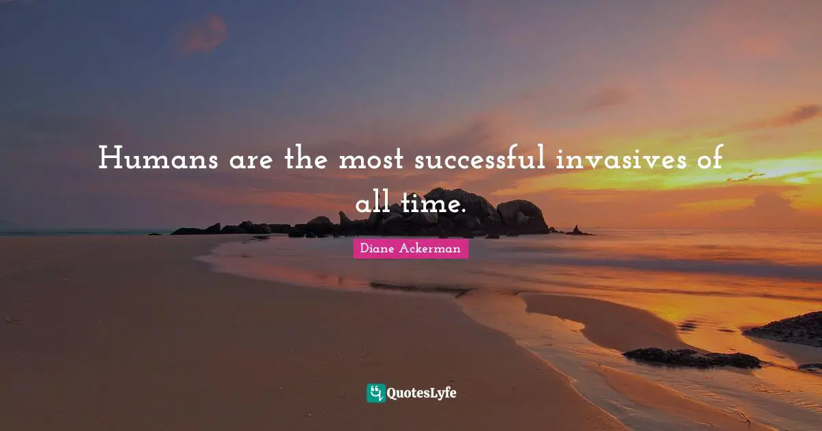 Humans are the most successful invasives of all time.