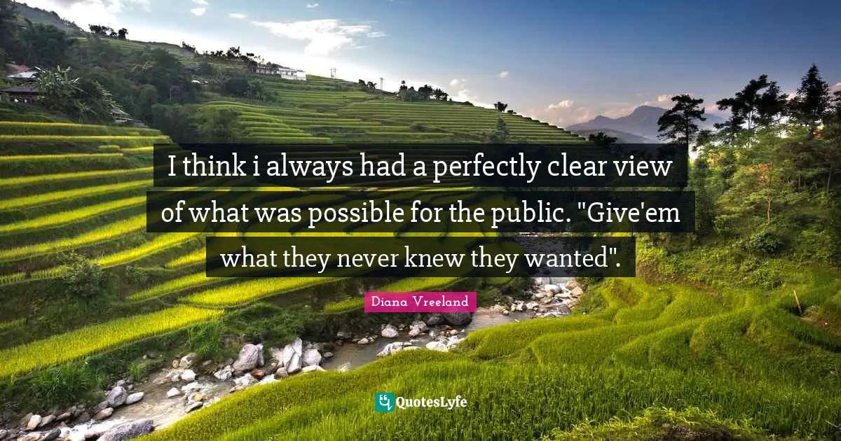 I think i always had a perfectly clear view of what was possible for the public. "Give'em what they never knew they wanted".