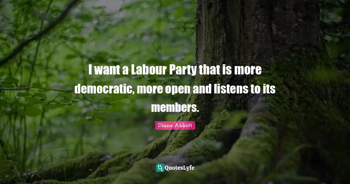 I want a Labour Party that is more democratic, more open and listens to its members.