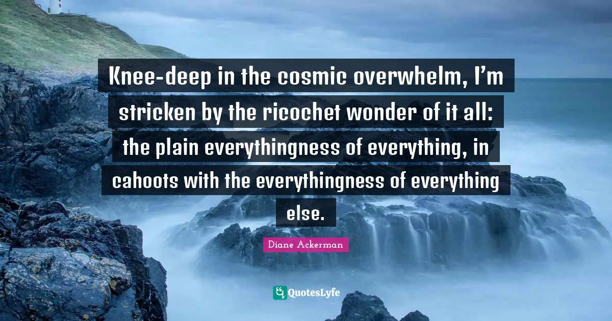 Knee-deep in the cosmic overwhelm, I’m stricken by the ricochet wonder of it all: the plain everythingness of everything, in cahoots with the everythingness of everything else.