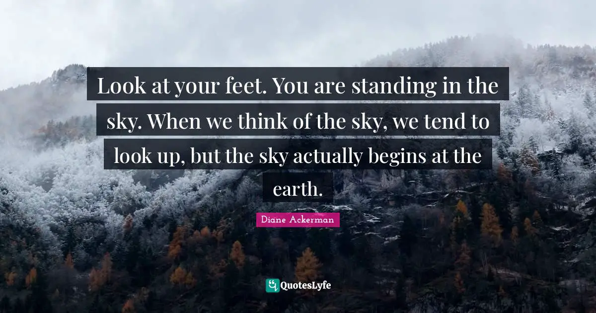 Look at your feet. You are standing in the sky. When we think of the sky, we tend to look up, but the sky actually begins at the earth.