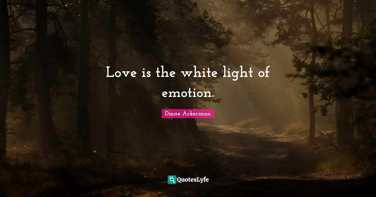 Love is the white light of emotion.