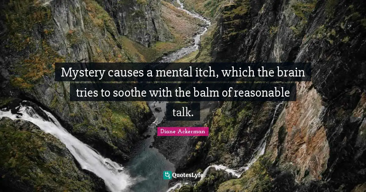 Mystery causes a mental itch, which the brain tries to soothe with the balm of reasonable talk.