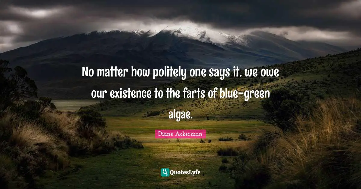 No matter how politely one says it, we owe our existence to the farts of blue-green algae.