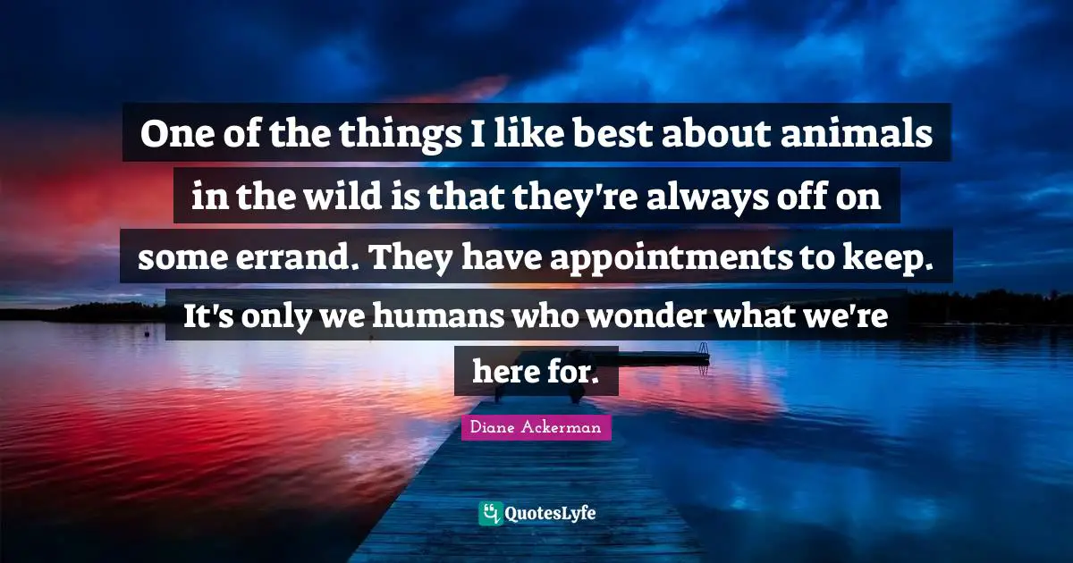 One of the things I like best about animals in the wild is that they're always off on some errand. They have appointments to keep. It's only we humans who wonder what we're here for.