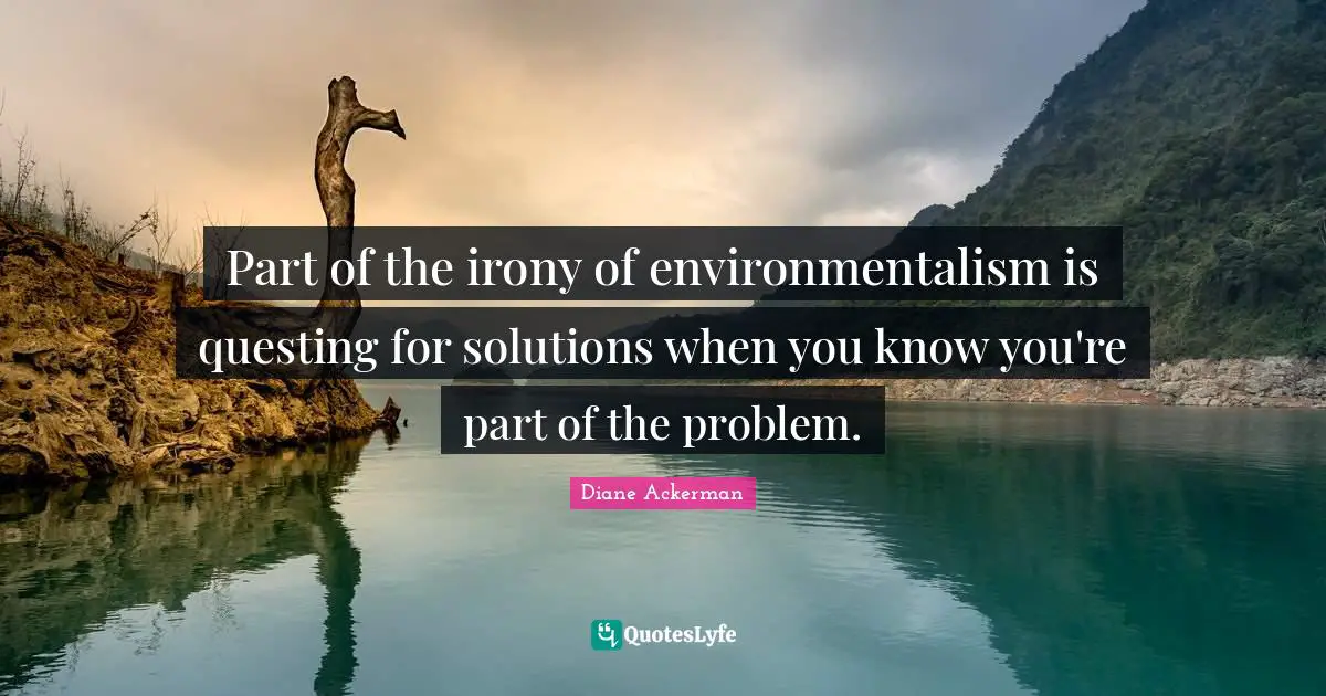 Part of the irony of environmentalism is questing for solutions when you know you're part of the problem.