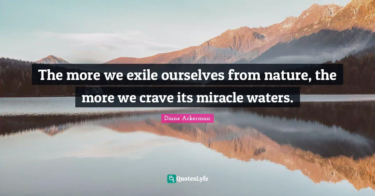 The more we exile ourselves from nature, the more we crave its miracle waters.