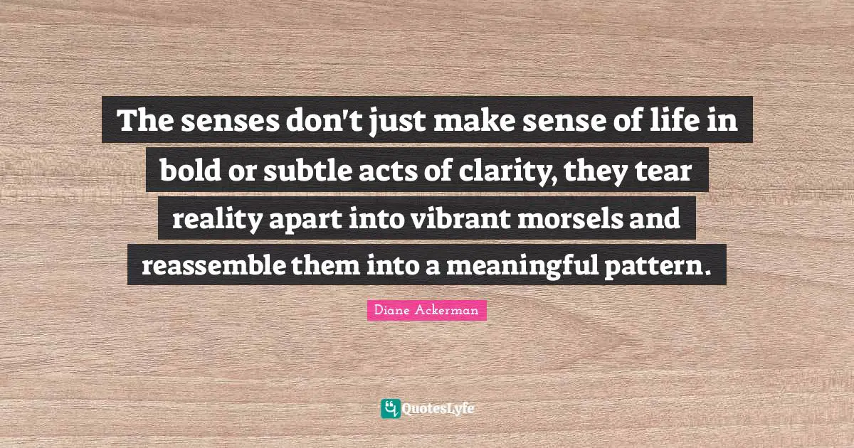 The senses don't just make sense of life in bold or subtle acts of clarity, they tear reality apart into vibrant morsels and reassemble them into a meaningful pattern.