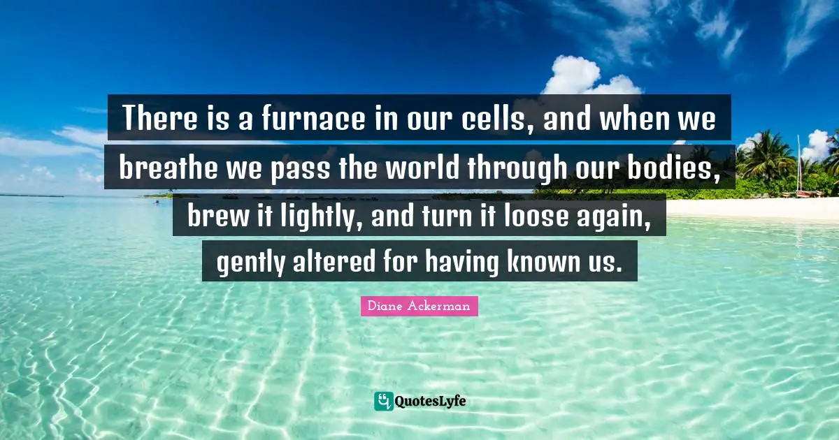 There is a furnace in our cells, and when we breathe we pass the world through our bodies, brew it lightly, and turn it loose again, gently altered for having known us.