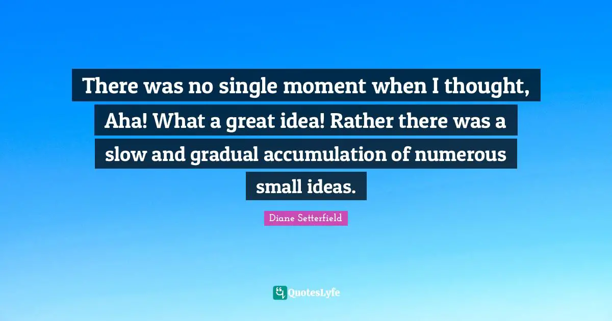 There was no single moment when I thought, Aha! What a great idea! Rather there was a slow and gradual accumulation of numerous small ideas.