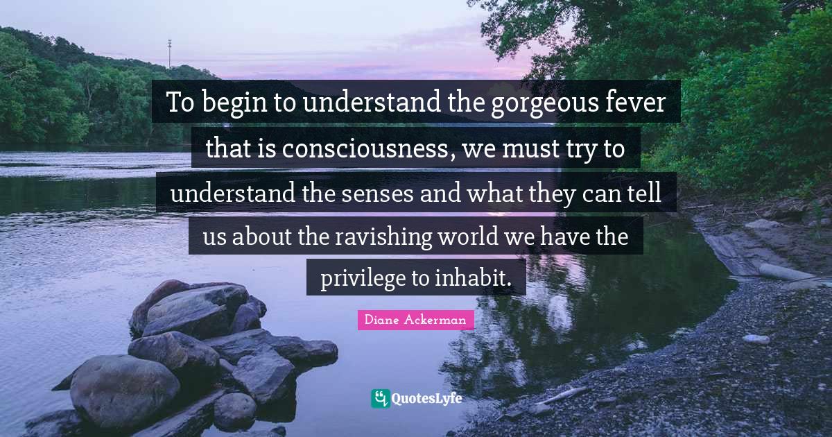 To begin to understand the gorgeous fever that is consciousness, we must try to understand the senses and what they can tell us about the ravishing world we have the privilege to inhabit.