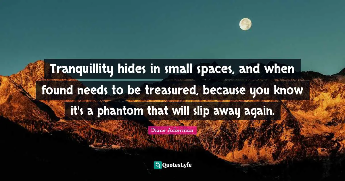 Tranquillity hides in small spaces, and when found needs to be treasured, because you know it's a phantom that will slip away again.