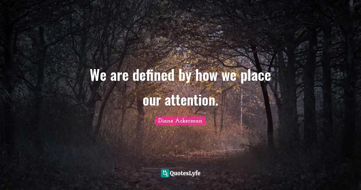 We are defined by how we place our attention.
