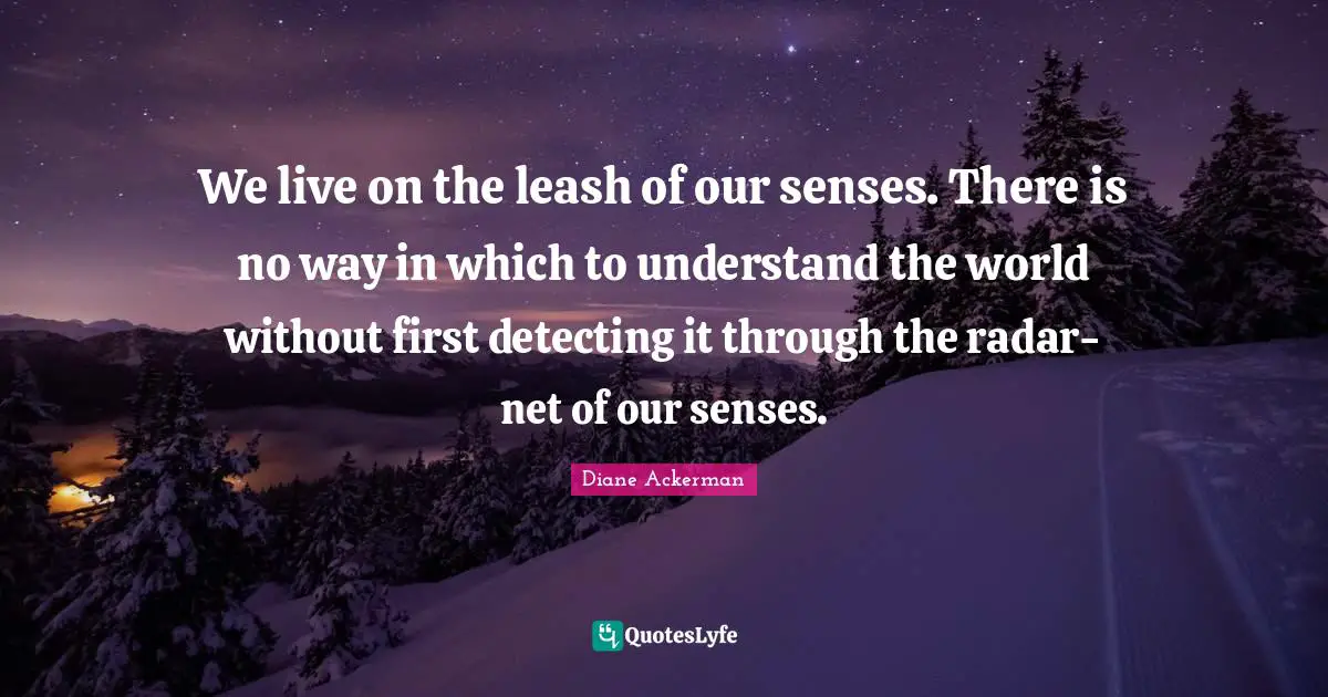 We live on the leash of our senses. There is no way in which to understand the world without first detecting it through the radar-net of our senses.