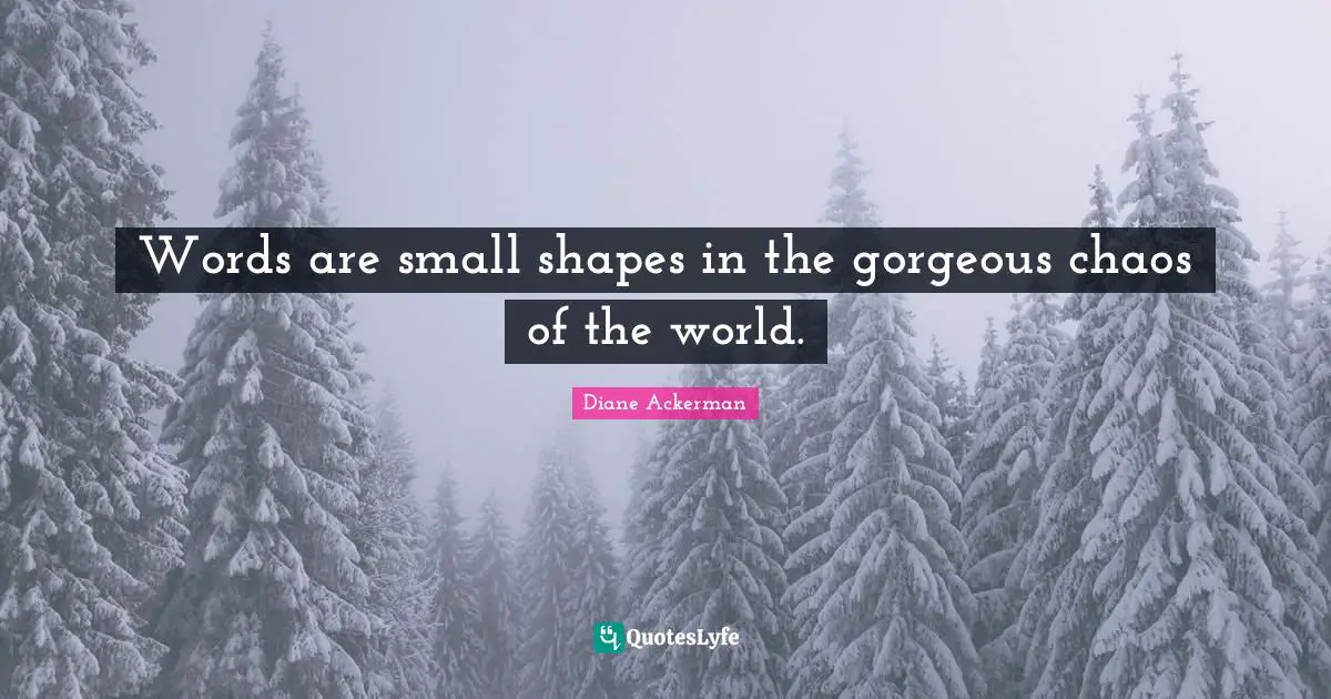 Words are small shapes in the gorgeous chaos of the world.