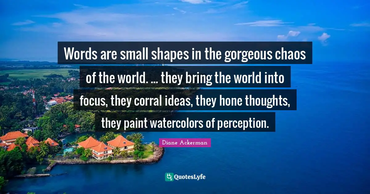 Words are small shapes in the gorgeous chaos of the world. ... they bring the world into focus, they corral ideas, they hone thoughts, they paint watercolors of perception.