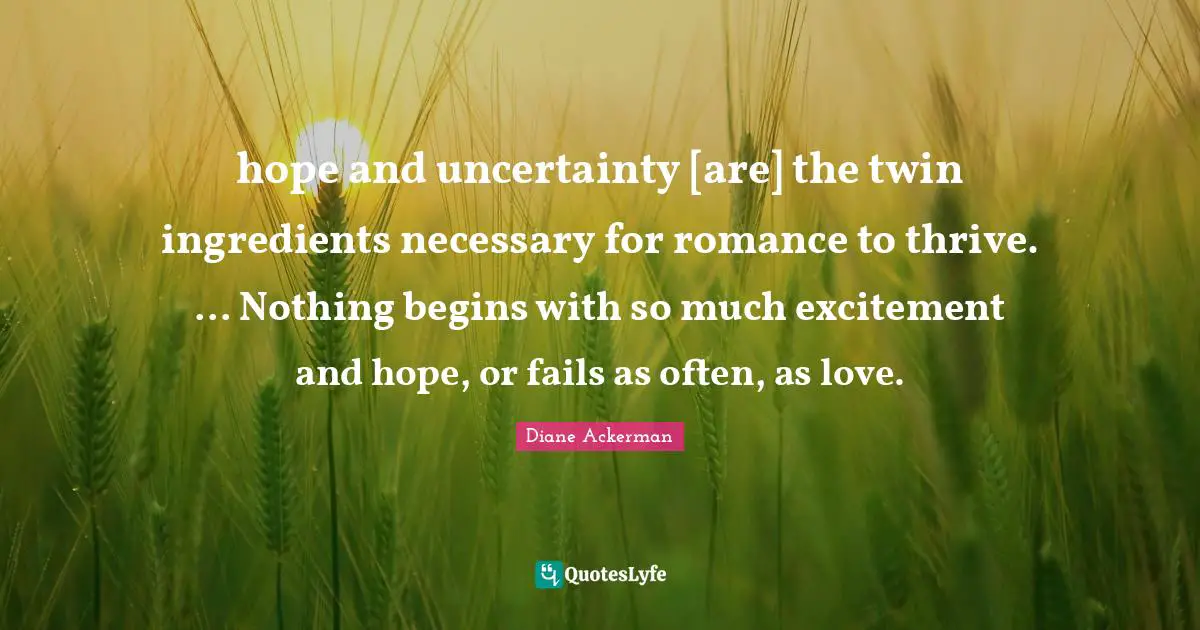 hope and uncertainty [are] the twin ingredients necessary for romance to thrive. ... Nothing begins with so much excitement and hope, or fails as often, as love.