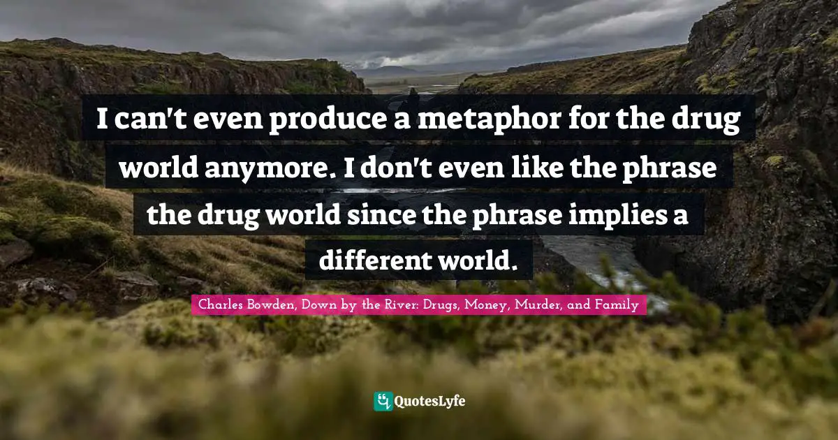 I can't even produce a metaphor for the drug world anymore. I don't even like the phrase the drug world since the phrase implies a different world.