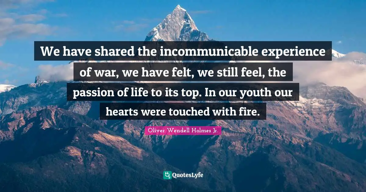 We have shared the incommunicable experience of war, we have felt, we still feel, the passion of life to its top. In our youth our hearts were touched with fire.