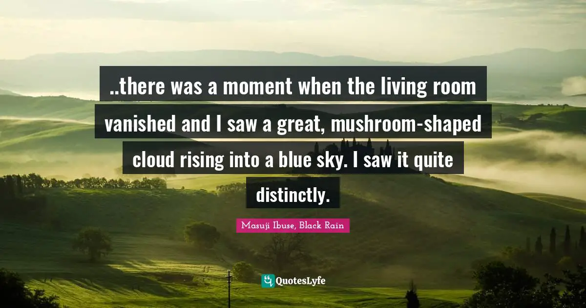 ..there was a moment when the living room vanished and I saw a great, mushroom-shaped cloud rising into a blue sky. I saw it quite distinctly.
