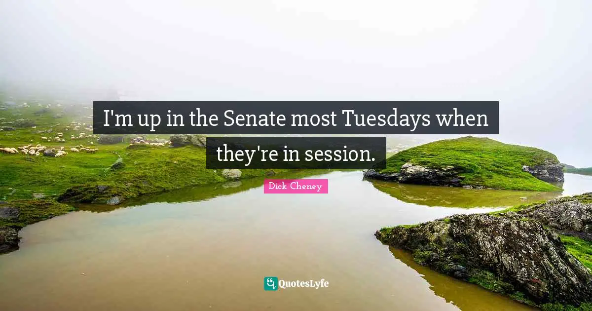 I'm up in the Senate most Tuesdays when they're in session.
