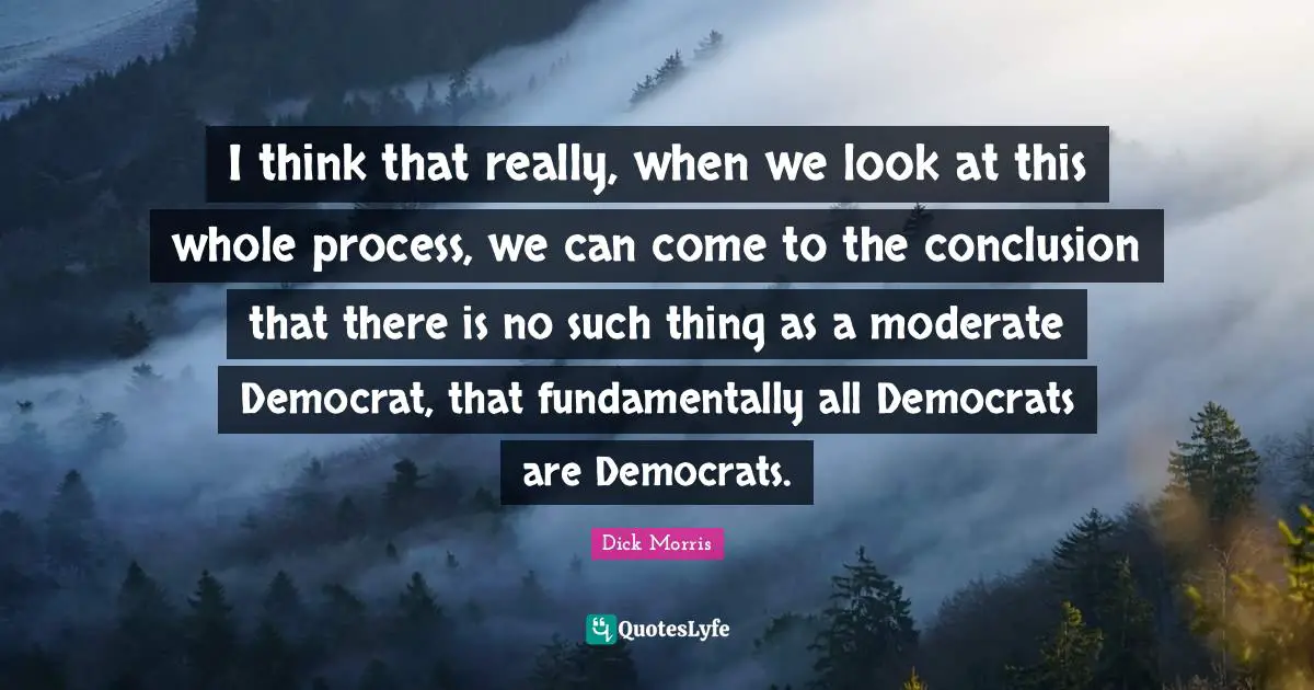 Dick Morris Quotes: "I think that really, when we look at this whole process, we can come to the conclusion that there is no such thing as a moderate Democrat, that fundamentally all Democrats are Democrats."