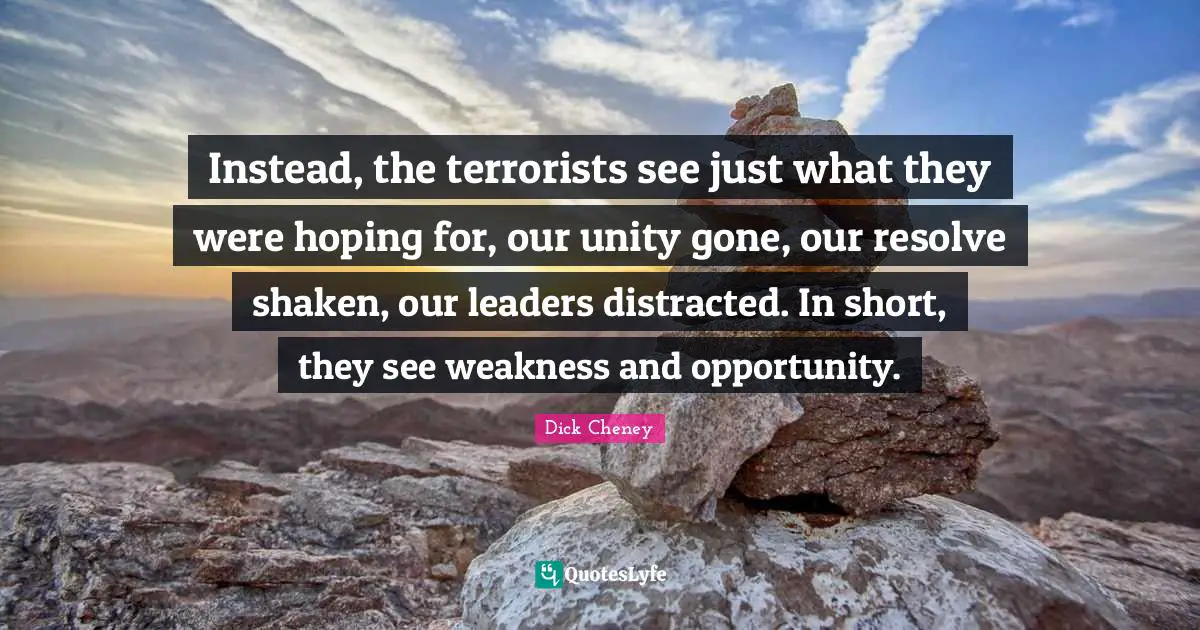 Instead, the terrorists see just what they were hoping for, our unity gone, our resolve shaken, our leaders distracted. In short, they see weakness and opportunity.
