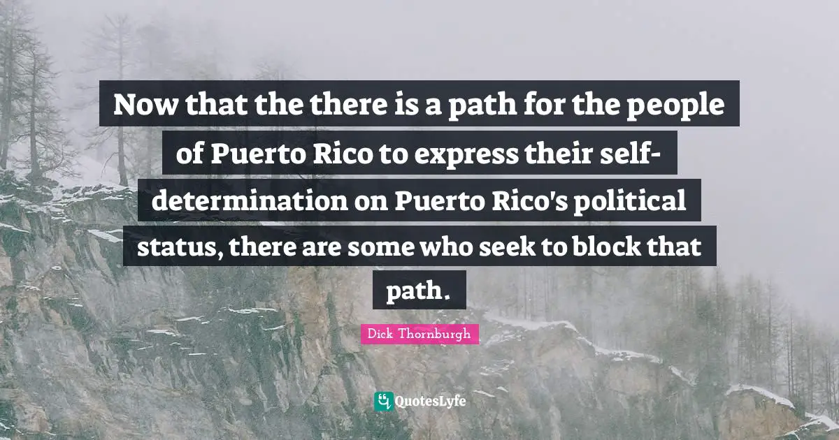Now that the there is a path for the people of Puerto Rico to express their self-determination on Puerto Rico's political status, there are some who seek to block that path.