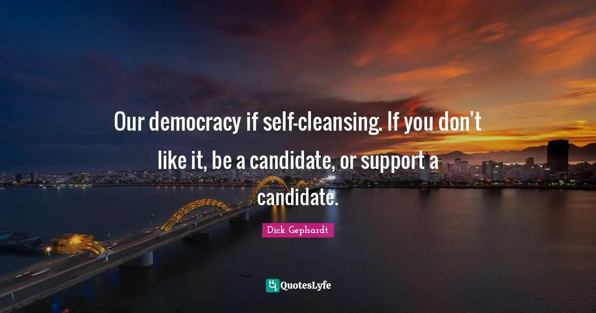 Our democracy if self-cleansing. If you don't like it, be a candidate, or support a candidate.