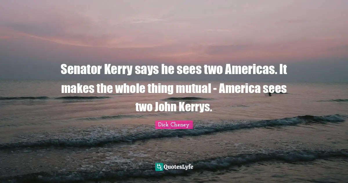 Senator Kerry says he sees two Americas. It makes the whole thing mutual - America sees two John Kerrys.