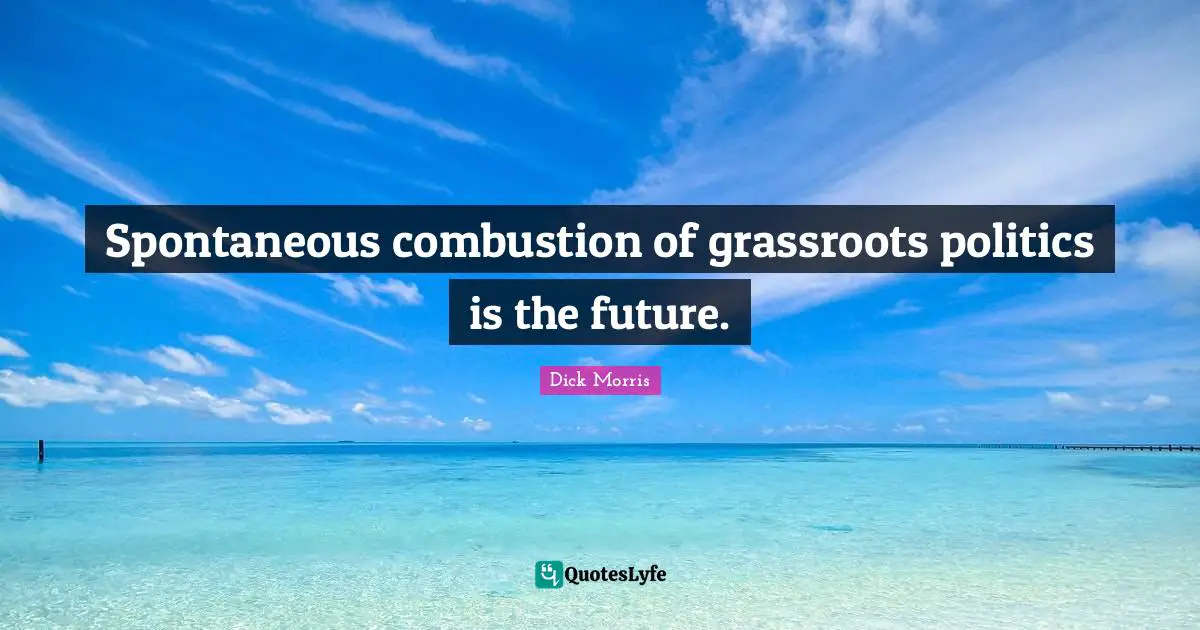 Spontaneous Quotes: "Spontaneous combustion of grassroots politics is the future."