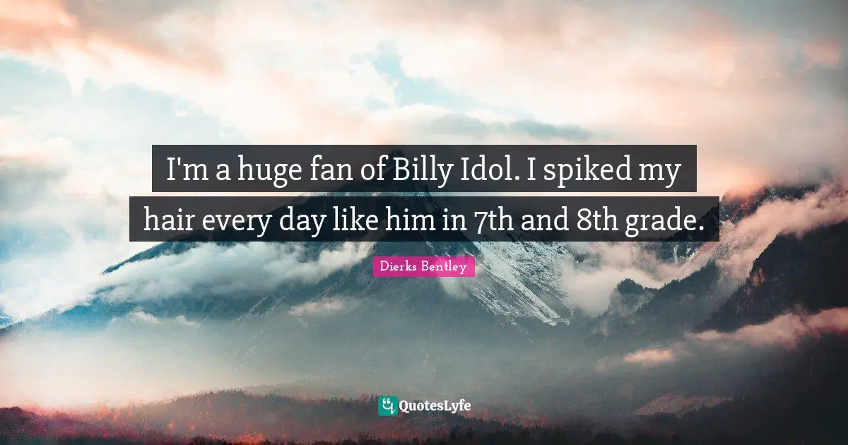 I'm a huge fan of Billy Idol. I spiked my hair every day like him in 7th and 8th grade.