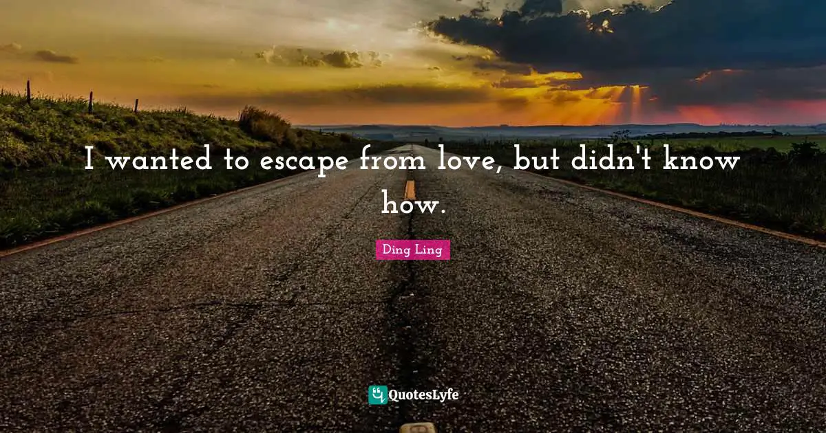 I wanted to escape from love, but didn't know how.