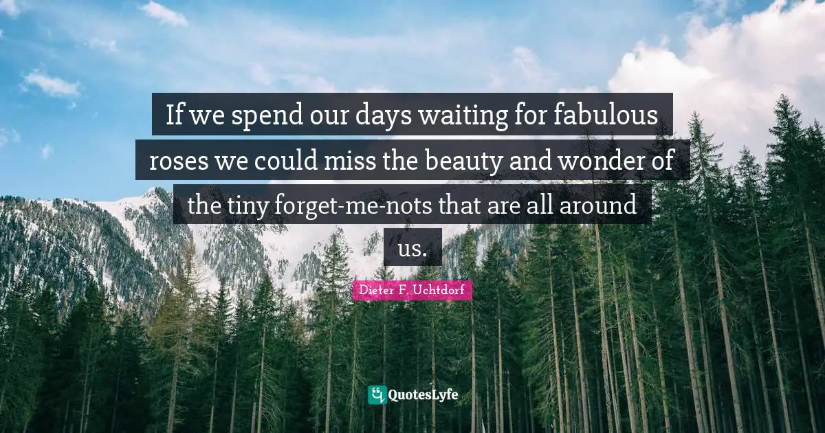 If we spend our days waiting for fabulous roses we could miss the beauty and wonder of the tiny forget-me-nots that are all around us.