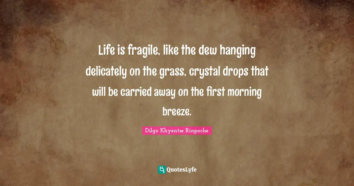 Buddhism Quotes: "Life is fragile, like the dew hanging delicately on the grass, crystal drops that will be carried away on the first morning breeze."