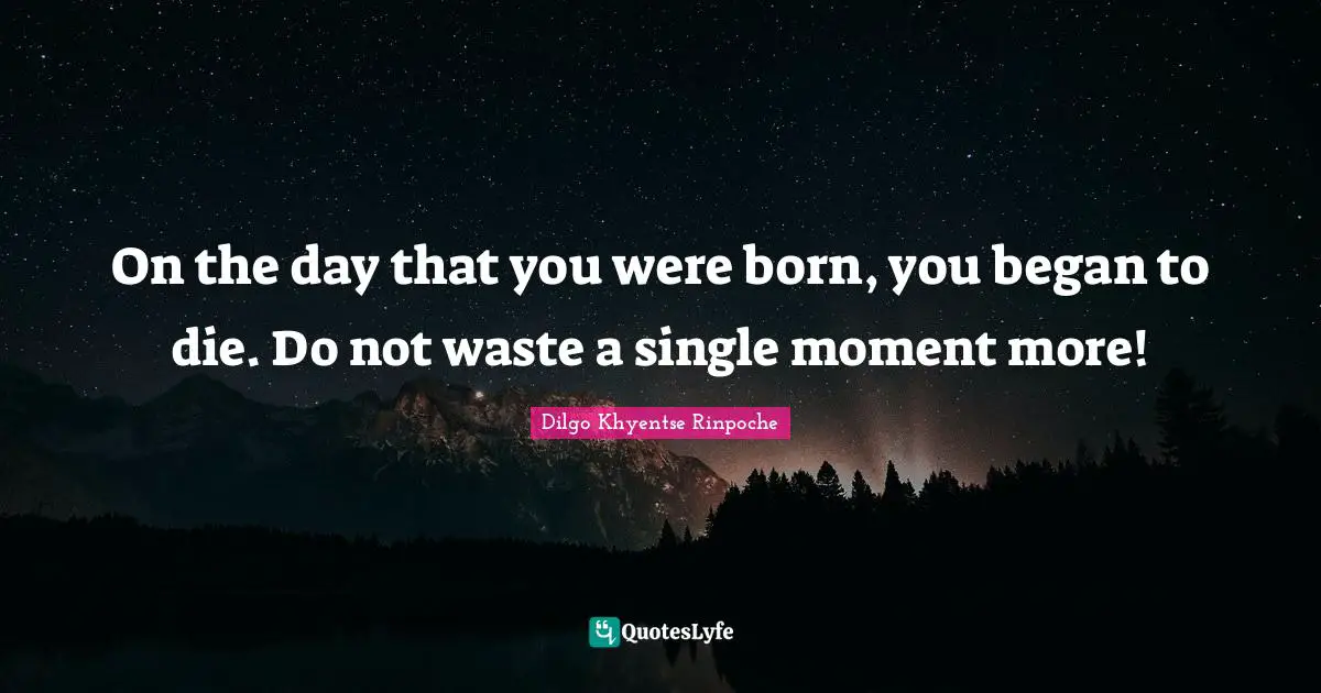 Mom Quotes: "On the day that you were born, you began to die. Do not waste a single moment more!"