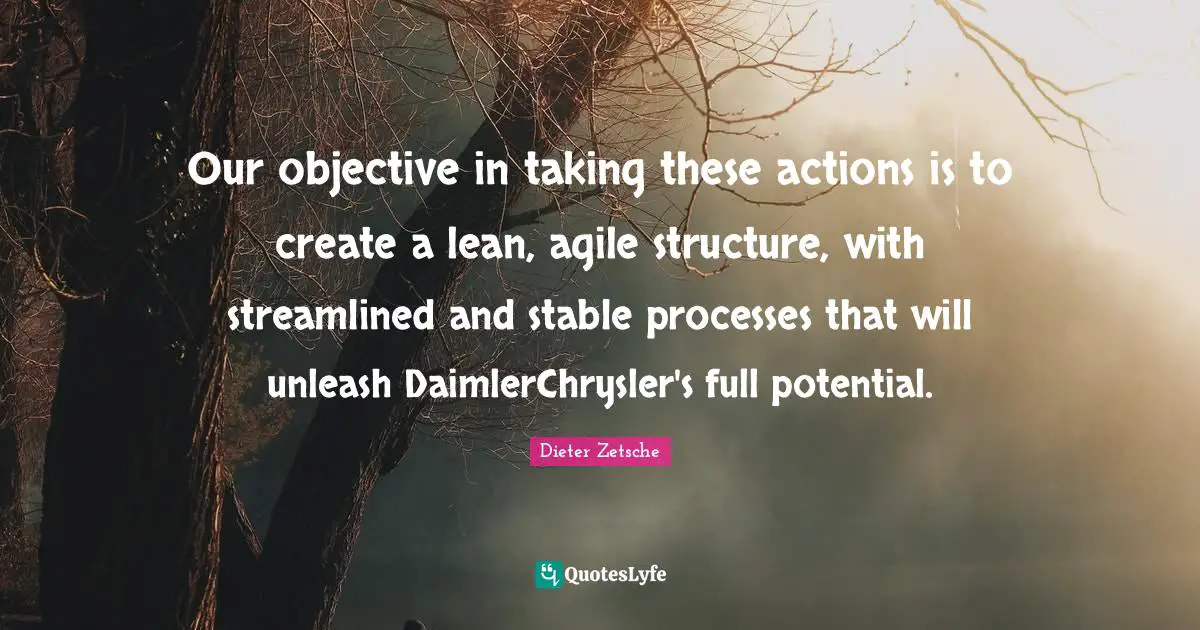Our objective in taking these actions is to create a lean, agile structure, with streamlined and stable processes that will unleash DaimlerChrysler's full potential.
