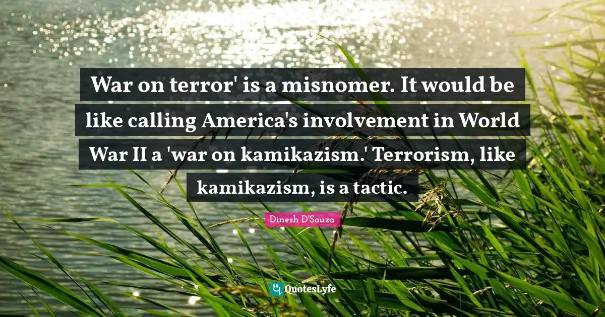 War on terror' is a misnomer. It would be like calling America's involvement in World War II a 'war on kamikazism.' Terrorism, like kamikazism, is a tactic.