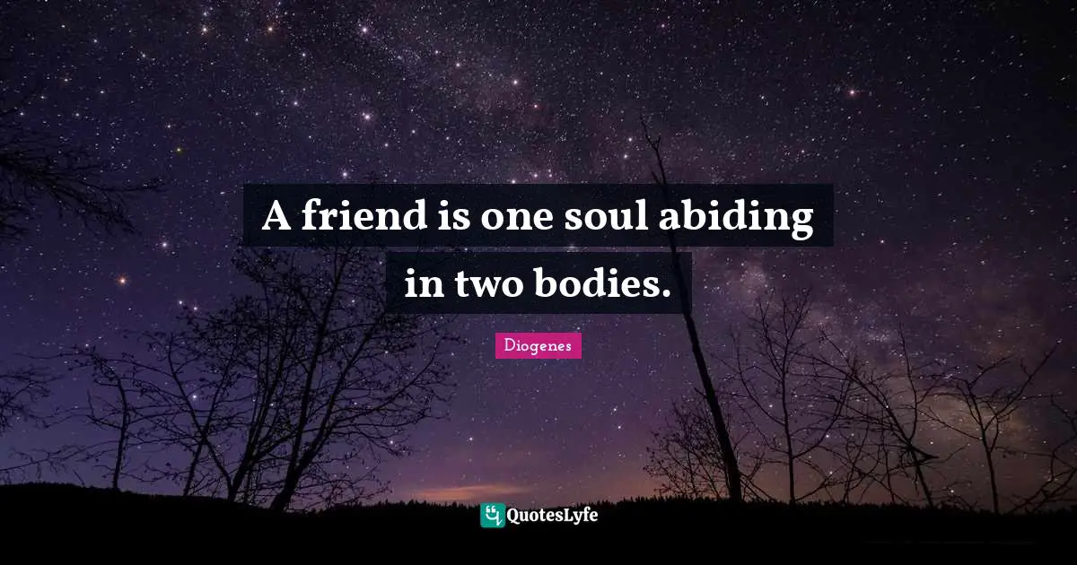 A friend is one soul abiding in two bodies.
