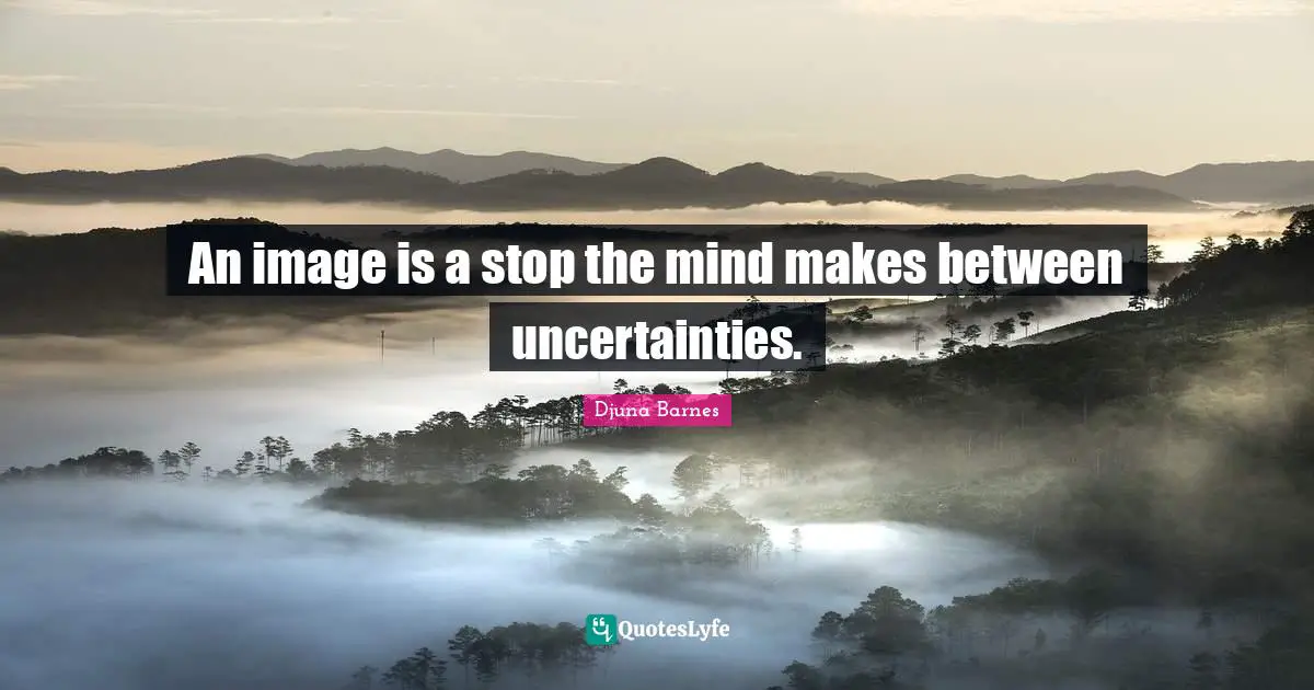 An image is a stop the mind makes between uncertainties.
