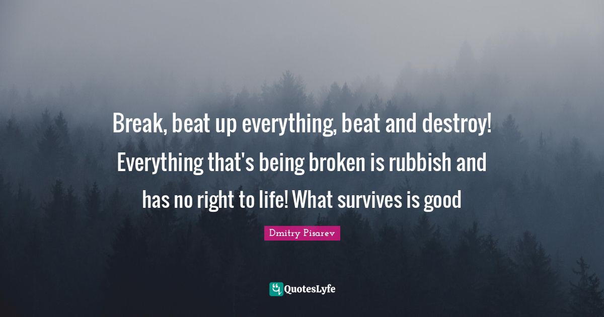 Break, beat up everything, beat and destroy! Everything that's being b... Quote by Dmitry