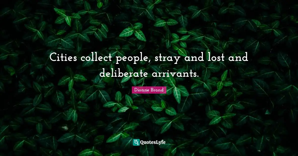 Cities collect people, stray and lost and deliberate arrivants.