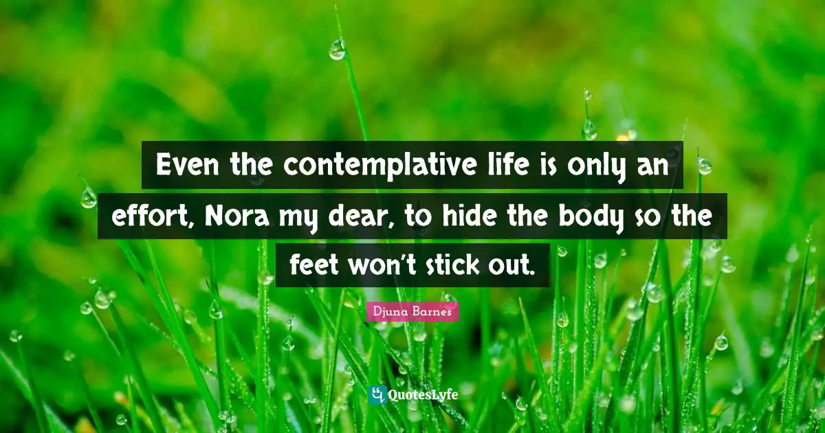 Even the contemplative life is only an effort, Nora my dear, to hide the body so the feet won’t stick out.