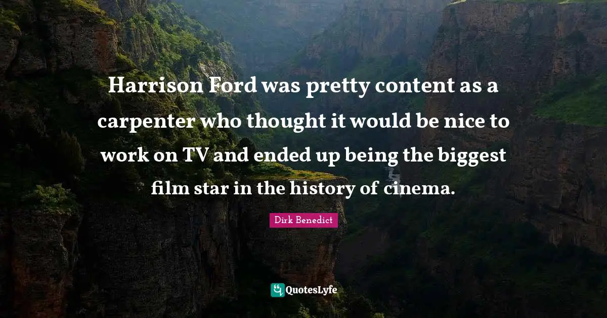 Harrison Ford was pretty content as a carpenter who thought it would be nice to work on TV and ended up being the biggest film star in the history of cinema.