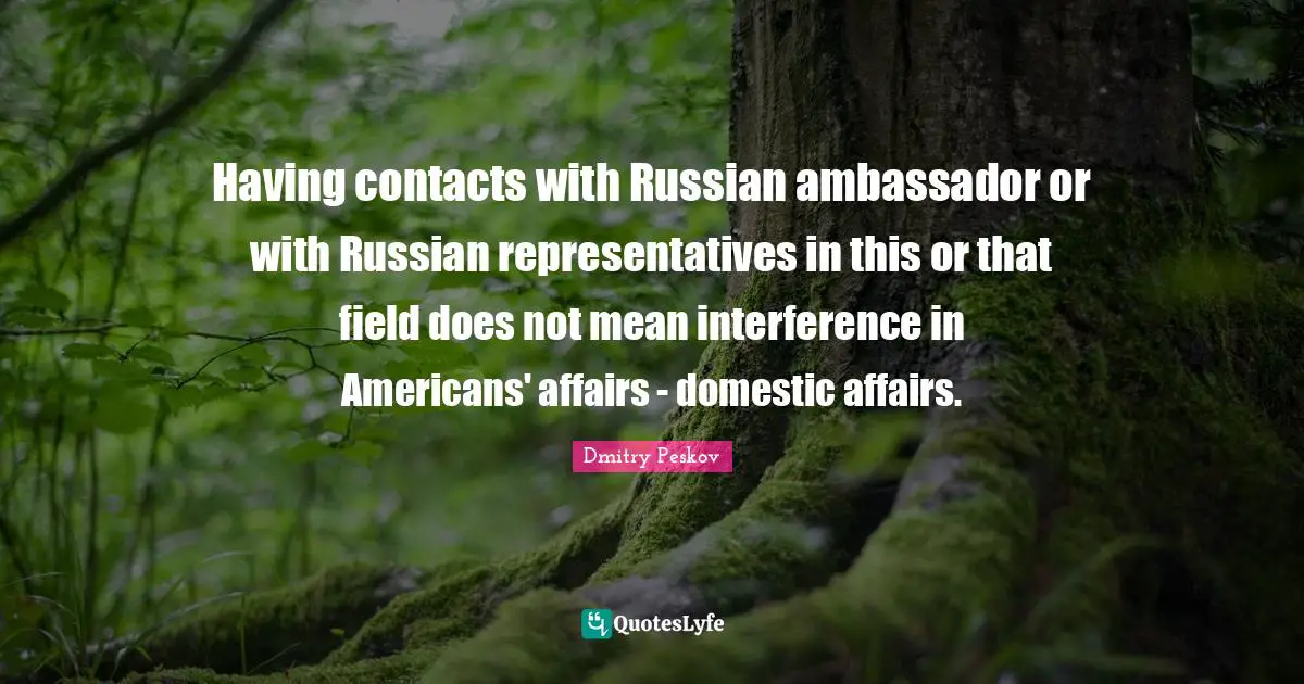 Having contacts with Russian ambassador or with Russian representatives in this or that field does not mean interference in Americans' affairs - domestic affairs.