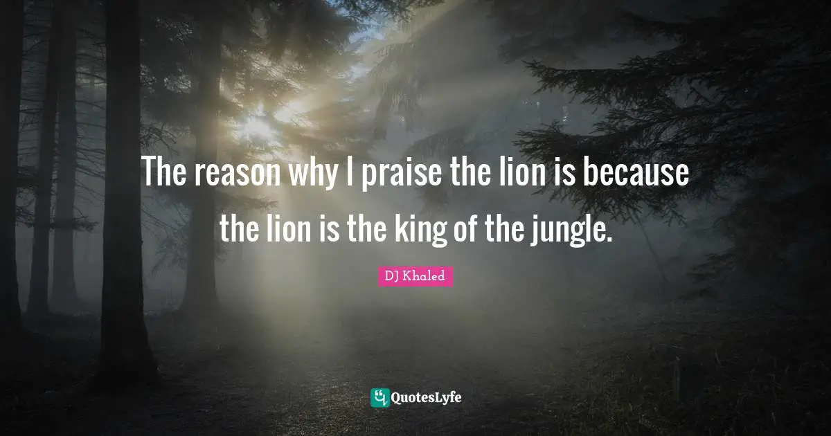 The reason why I praise the lion is because the lion is the king of the jungle.