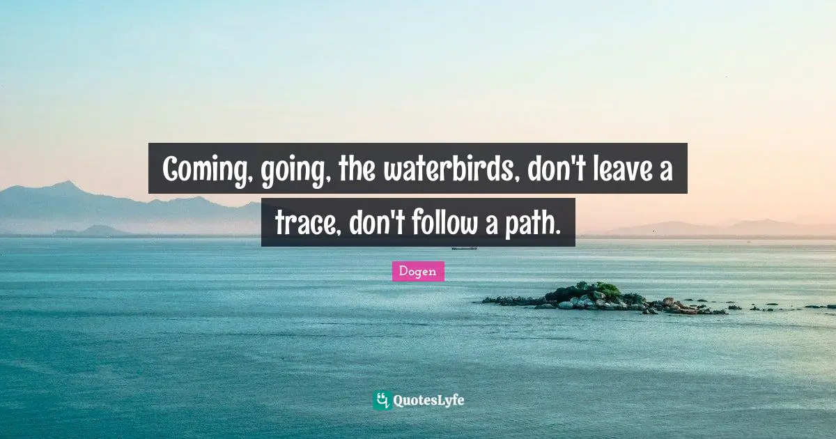 Coming, going, the waterbirds, don't leave a trace, don't follow a path.
