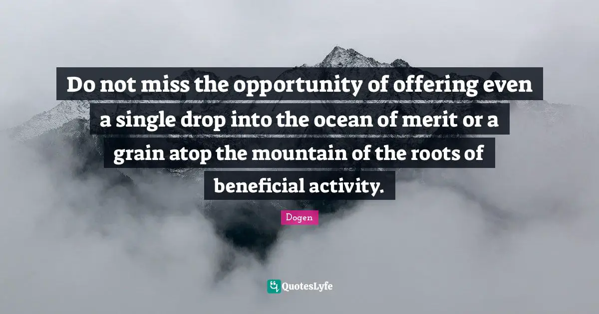Do not miss the opportunity of offering even a single drop into the ocean of merit or a grain atop the mountain of the roots of beneficial activity.