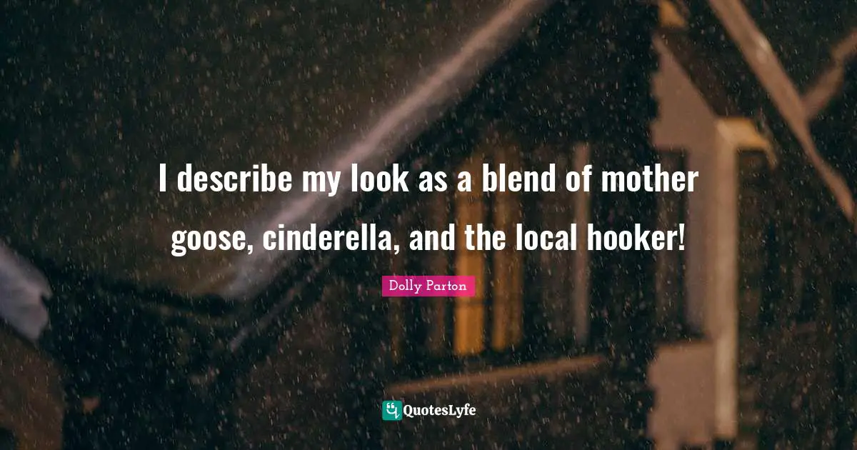 I describe my look as a blend of mother goose, cinderella, and the local hooker!