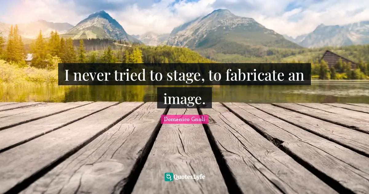 I never tried to stage, to fabricate an image.